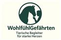 Veranstaltungsbild Pony-Entdecker (1)